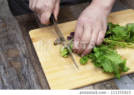 Muskran salad, vegetables, vegan salad, cut with a knife 111335923
