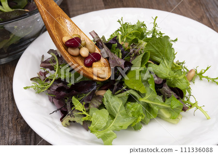 Muskran salad, vegetables, vegan salad, plate 111336088