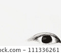 恐怖形象：眼睛 111336261