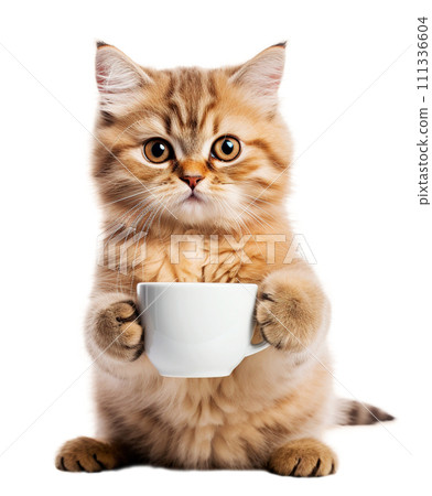 Joyful cat with a cup of coffee 111336604