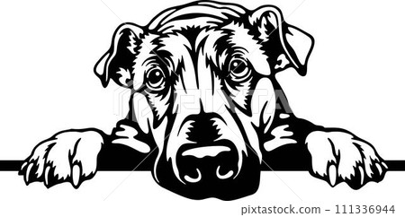 Guilty Rhodesian Ridgeback Dog - Funny Dog - Pet Dog Vector Clipart, Dog Silhouette Stencil 111336944