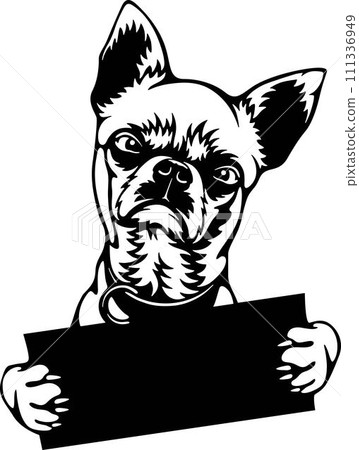 Grumpy Chihuahua Dog - Funny Dog - Pet Dog Vector Clipart, Dog Silhouette Stencil 111336949