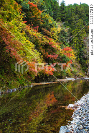 Gifu Tarakyo Forest Park, a famous spot for autumn leaves 111337819