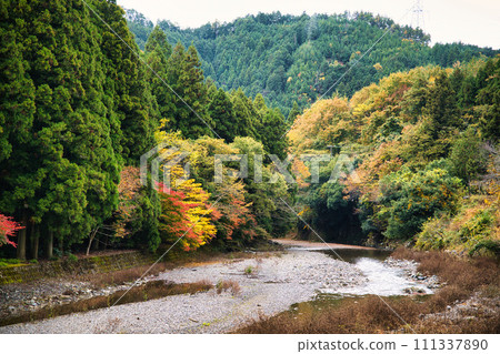 清溪邊的秋景 清溪邊的秋景 111337890