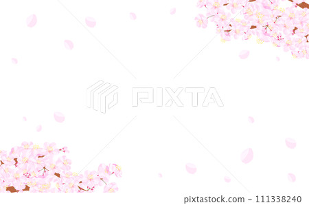 A spring frame material with a blank space depicting a simple cherry blossom tree, branches, and a snowstorm of cherry blossoms in full bloom that can be used for backgrounds, titles, and headings. 111338240