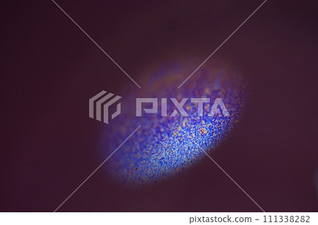 Mysterious world 111338282