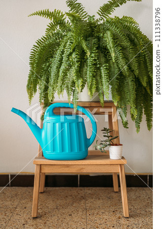 Vibrant blue watering can on a wooden stool with plants Vibrant blue watering can on a wooden stool with plants 111338796