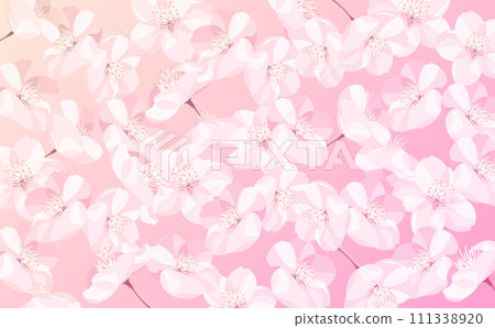 春天材料與盛開的簡單櫻花花瓣和漸變花卉圖案/圖案背景，可用於標題和標題 111338920