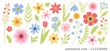 Vector flowers collection Vector flowers collection 111338948