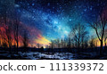 Winter forest, starry sky at dusk with a view of the Milky Way 111339372