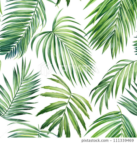 Seamless pattern Palm coconut leaves, watercolor painting. Jungle leaf, Tropical green plant for wallpaper, textile 111339469