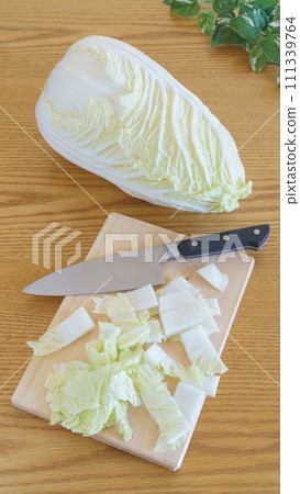 切大白菜 111339764