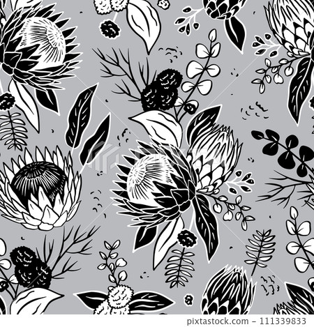 Black and white seamless pattern with line art protea flowers on gray background 111339833