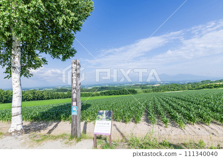 Scenery around Kamifurano Hakkei Roller Coaster Road, a famous tourist spot in Kamifurano Town, Hokkaido 111340040
