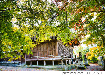 岐阜長彥神社的秋葉 111340511