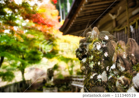 Autumn leaves at Gifu Nagahiko Shrine 111340519