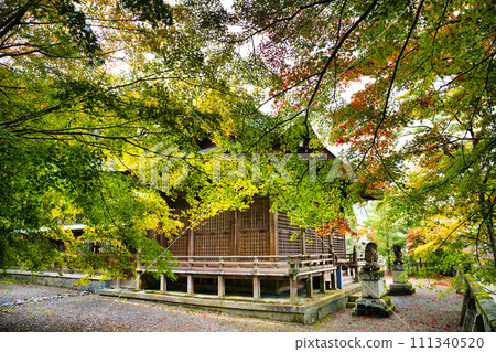 岐阜長彥神社的秋葉 111340520