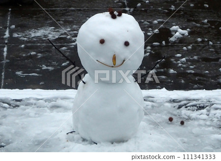 雪達摩2 雪達摩2 111341333