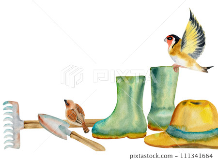 Hand drawn watercolor illustration spring gardening tools shovel rake, rubber boots, straw hat, birds goldfinch sparrow. Horizontal frame isolated on white background. Design print, shop, scrapbooking Hand drawn watercolor illustration spring gardening tools shovel rake, rubber boots, straw hat, birds goldfinch sparrow. Horizontal frame isolated on white background. Design print, shop, scrapbooking 111341664