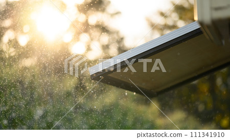 Small solar panels in corn field with sunlight on background. Renewable energy and agriculture concept Small solar panels in corn field with sunlight on background. Renewable energy and agriculture concept 111341910