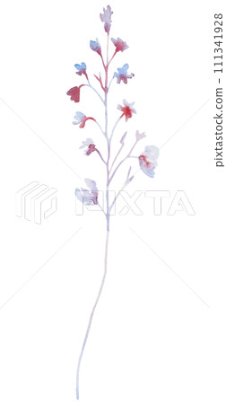 Watercolor light purple wildflower isolated illustration, floral wedding and greeting element 111341928