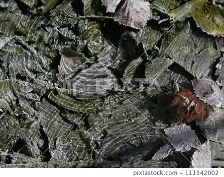 我調查了硫磺的來源。一幅從地底深處冒出的地獄圖畫。 111342002