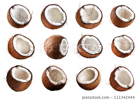 Coconut vector set isolated on white background Coconut vector set isolated on white background 111342444