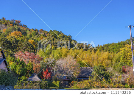 Traditional townscape of Saga Toriimoto, Kyoto in autumn 111343236