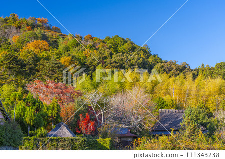 京都佐賀鳥居本秋天的傳統城鎮景觀 111343238