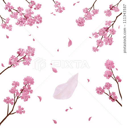 Cherry blossom branches for layout Cherry blossom branches for layout 111343587