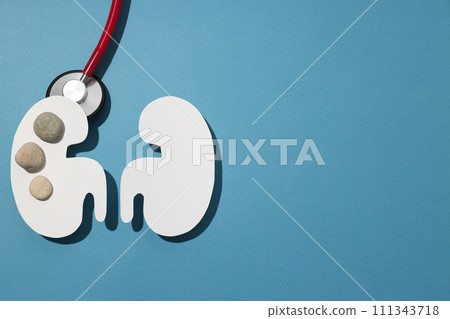 Health care concept, kidneys on a blue background. Health care concept, kidneys on a blue background. 111343718