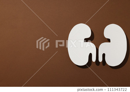 Kidneys on a brown background, top view. Kidneys on a brown background, top view. 111343722