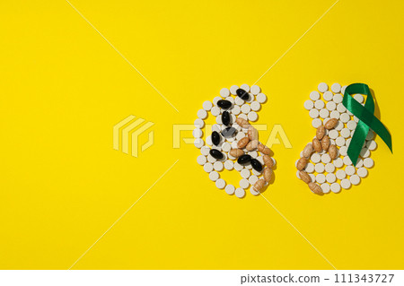 For national kidney month, kidneys on a yellow background. 111343727