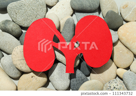 Kidneys on the sand with stones, National Kidney Month. 111343732