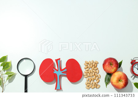 Kidneys on a light background, for National Kidney Month. Kidneys on a light background, for National Kidney Month. 111343733