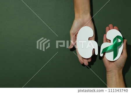 Kidney moon concept, kidneys on a green background. 111343740