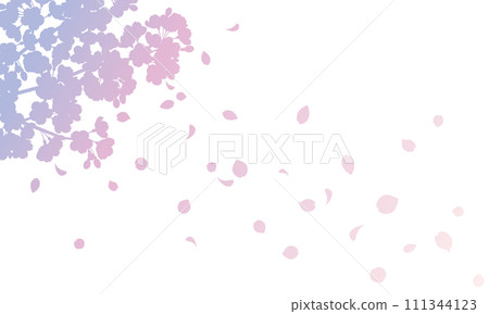 Illustration of a gradation silhouette background of cherry blossoms with falling petals (purple) 111344123