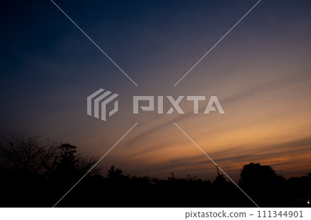 Silhouette of treetops on the side of a country road at the evening light vivid color sky 111344901