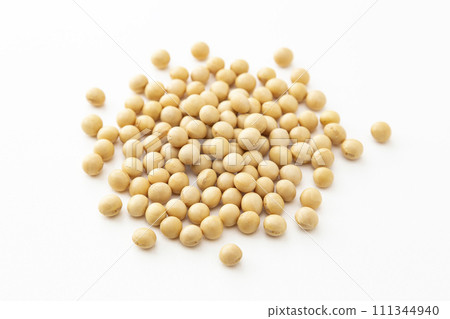 Soybean on white background 111344940