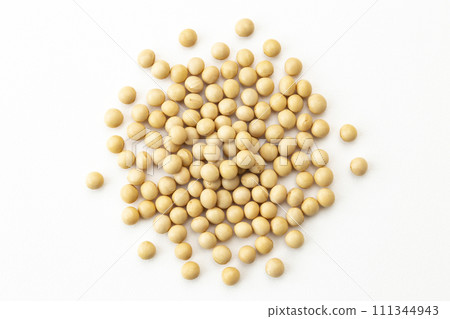 Soybean on white background 111344943