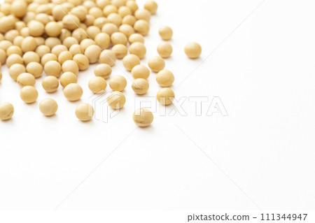 在白色背景的大豆 在白色背景的大豆 111344947