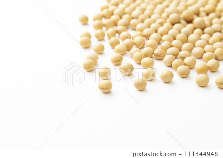 在白色背景的大豆 111344948