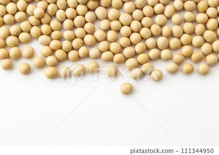 Soybean on white background 111344950