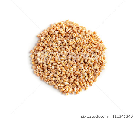 Wheat Grains, Barley Pile, Dry Cereal Seeds, Wheat Grains Heap on White 111345349
