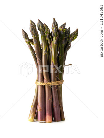 Purple Asparagus Isolated, Raw Garden Vegetables Bunch, Fresh Edible Sprouts of Red Asparagus Officinalis 111345663