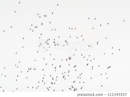 Poppy Seed, Blue Poppyseed Pile, Small Culinary Grains, Tiny Seeds, Oilseed Sprinkles Poppy Seed, Blue Poppyseed Pile, Small Culinary Grains, Tiny Seeds, Oilseed Sprinkles 111345937