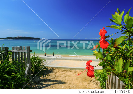 Okinawa's blue sea, blue sky and bright red hibiscus 111345988