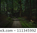 A road leading to a temple surrounded by forest 111345992