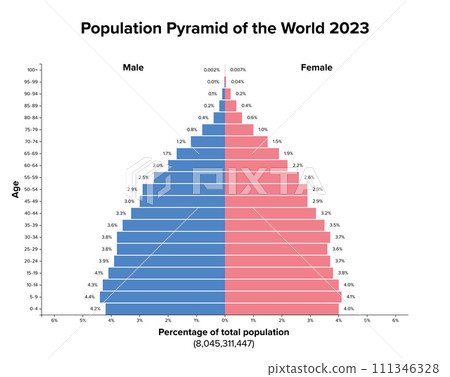 Population pyramid of the World 2023. Age structure diagram, and graphical illustration of the distribution of over 8 billion people divided into females and males, quoted in percent and 4-year steps. Population pyramid of the World 2023. Age structure diagram, and graphical illustration of the distribution of over 8 billion people divided into females and males, quoted in percent and 4-year steps. 111346328
