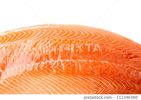 Fresh Salmon Fillet Isolated, Raw Norwegian Red Fish, Trout Meat Piece, Big Fresh Atlantic Salmon Fillet 111346360